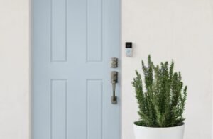 2020q1-lifestyle-insitu-rvd3-satinnickel-bluedoor-plant-simple-flipped