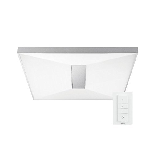 PHILIPS Hue Within Smart Ceiling Light White Ambiance 55W (Silver, PHILIPS Hue Within Smart Ceiling Light White Ambiance 55W (Silver, Compatible with Amazon Alexa, Apple HomeKit, and Google Assistant)