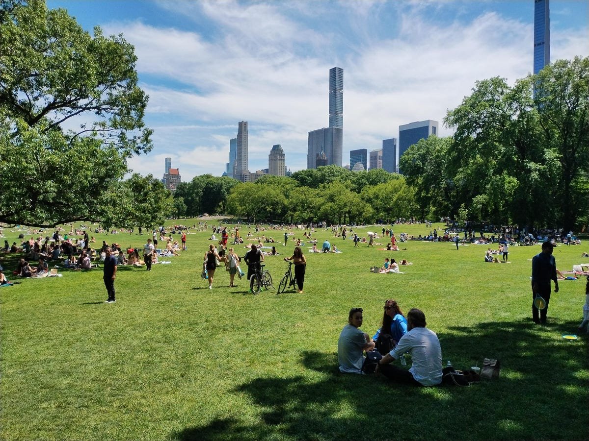 Affordability Meets Excellence: How Qualcomm's Technology Could Transform Lower-Cost Phones