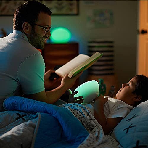 1702110784 213 PHILIPS Hue Go White and Color Portable Dimmable WiFi LED