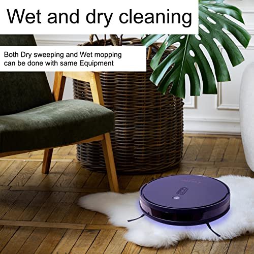 1705050422 452 I clean T100 PRO Black Wet and Dry Intelligent