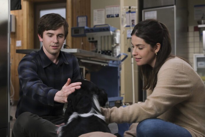 The best new streaming shows this week (February 19 good doctor