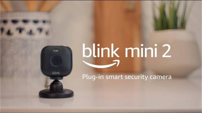 Blink-Mini-2