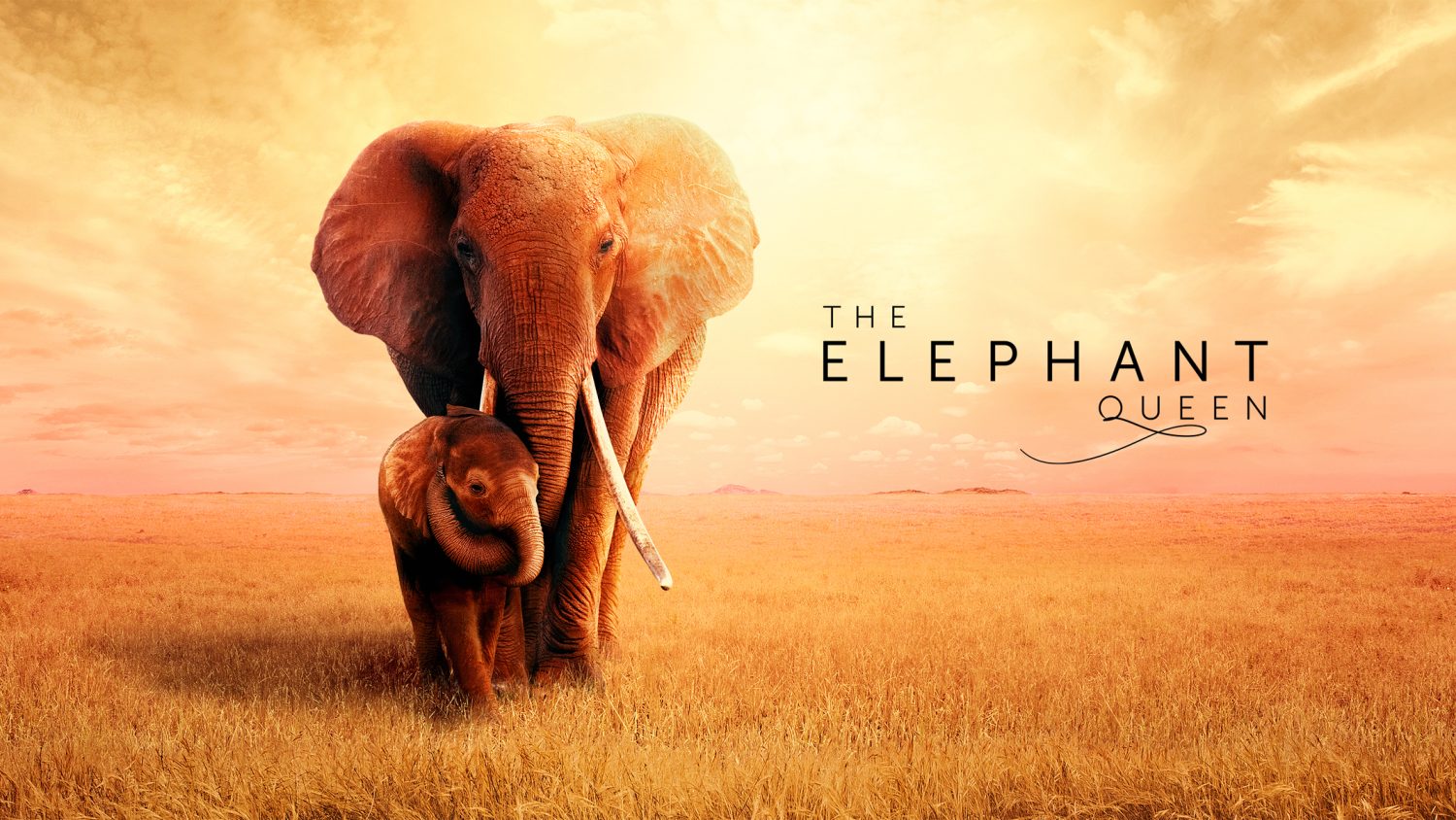 The Elephant Queen Apple TV Plus