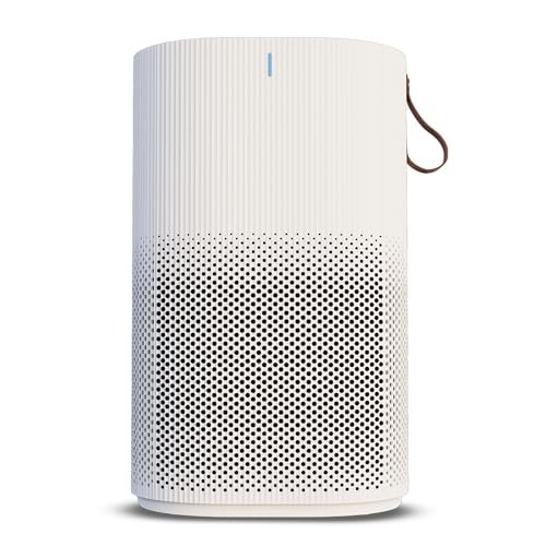 1729519495 709 Air purifiers from Philips Honeywell and others to protect your