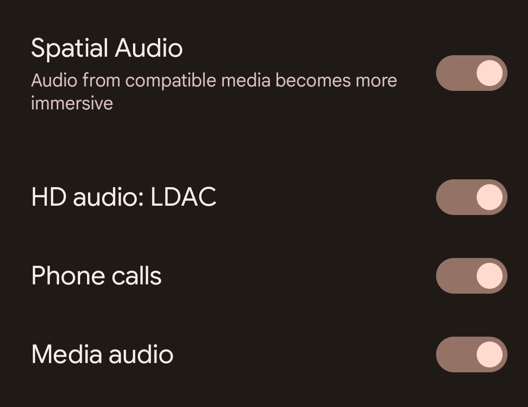 Close-up screenshot showing LDAC codec in Bluetooth settings.