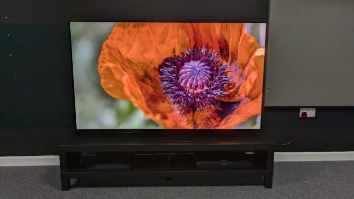 I tested plenty of TVs in 2024, but these are Samsung S95D with flower on screen
