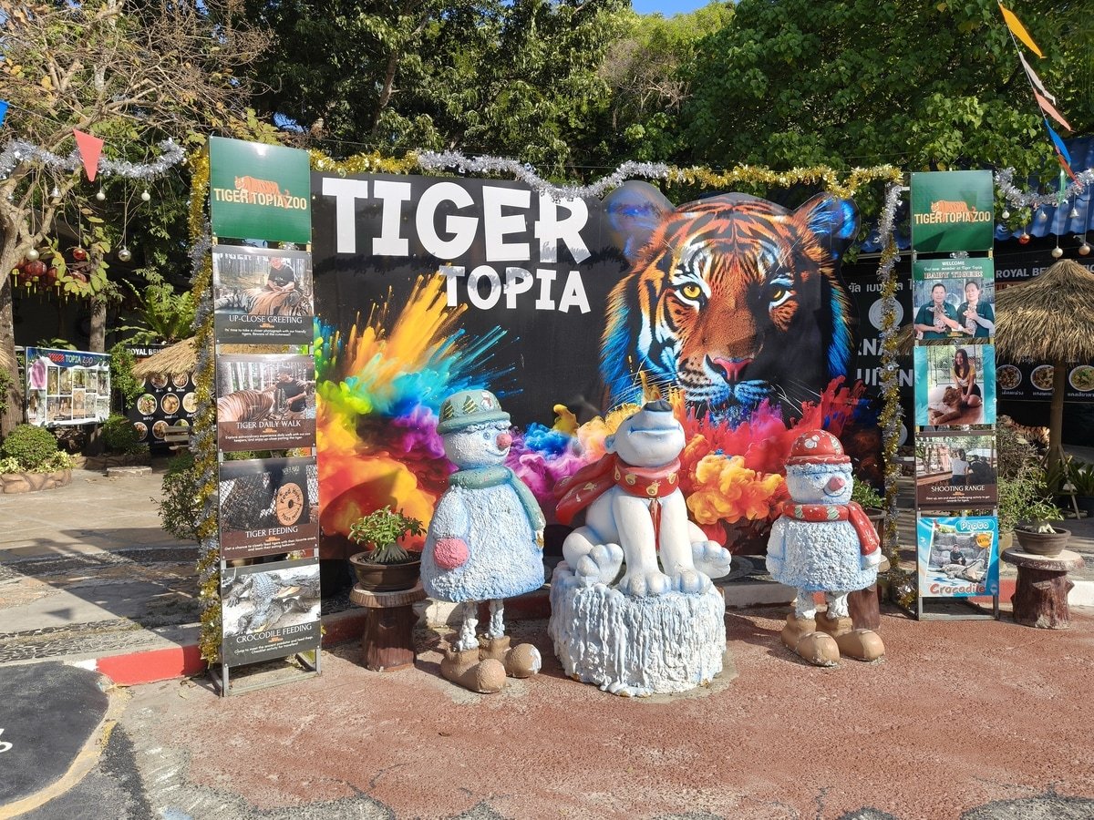 Oppo Reno 13 Pro 5G Review Style and Substance