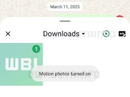 whatsapp motion photo sharing wabetainfo WhatsApp