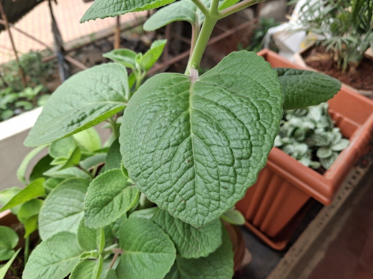 1747978991 520 Samsung Galaxy A26 Review Keeping Up With the Times