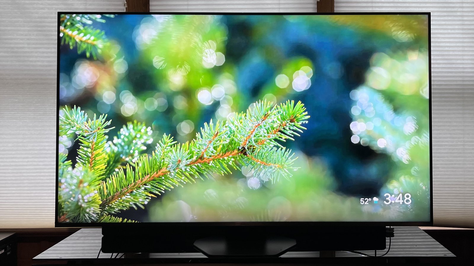 I examined 3 flagship mini-LED TVs – right here’s the only I’d spend my very own cash on 1 Hisense U8QG showing image of pine tree branch