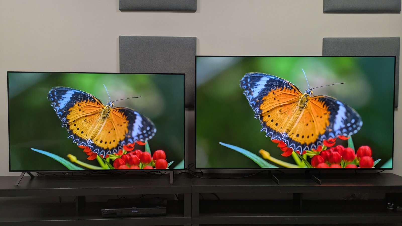 I examined Samsung and LG's least expensive OLED TVs side-by-side to peer which TV comes out on best – here is what came about 4 LG B5 (left) and Samsung S85F (right) showing orange butterfly on screen