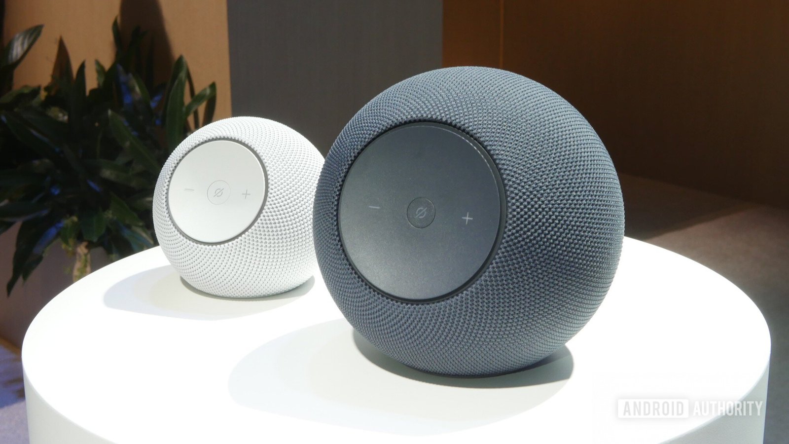 amazon echo dot both new