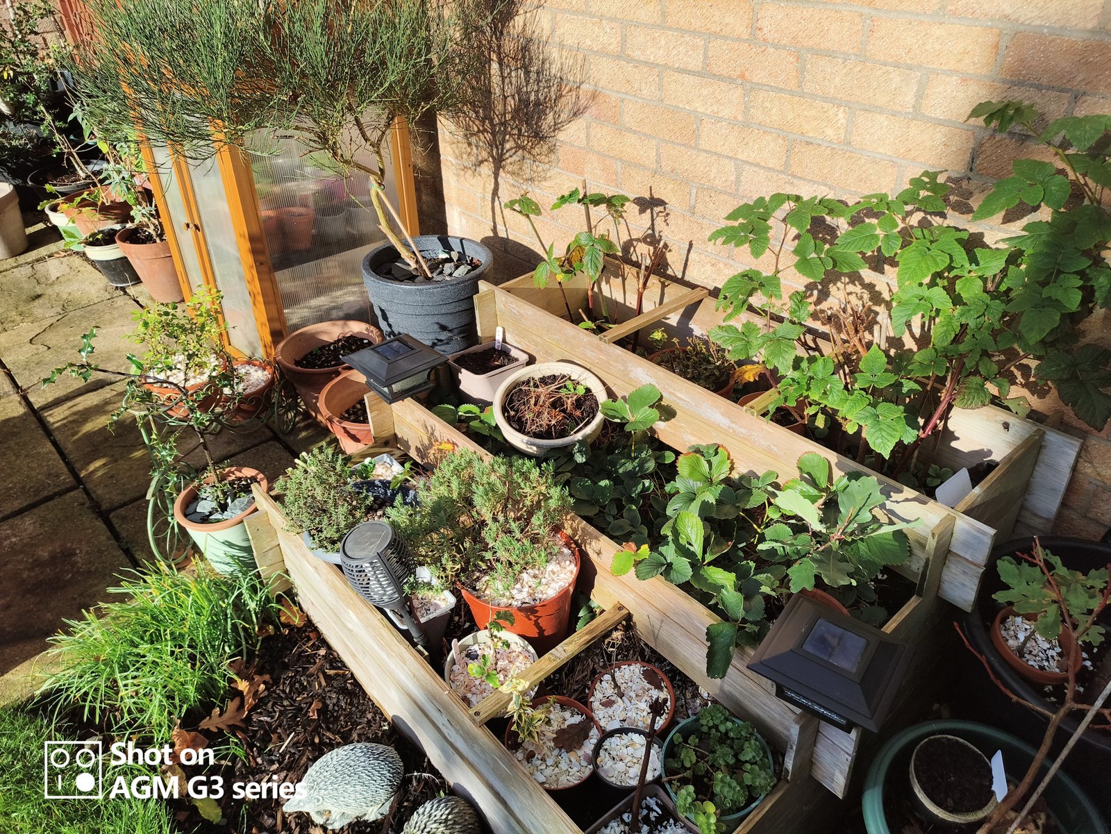 AGM G3 Pro rugged telephone evaluation 9 AGM G3 Pro photo and thermal examples