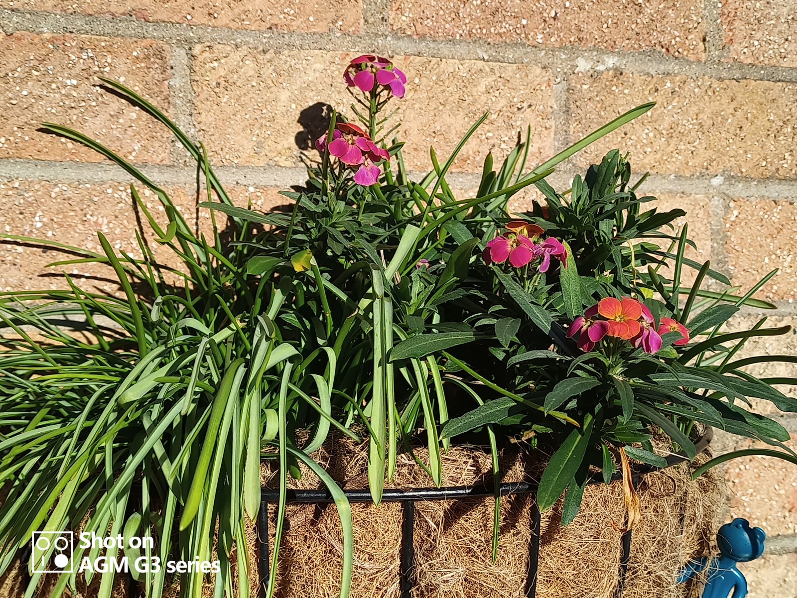 AGM G3 Pro rugged telephone evaluation 14 AGM G3 Pro photo and thermal examples