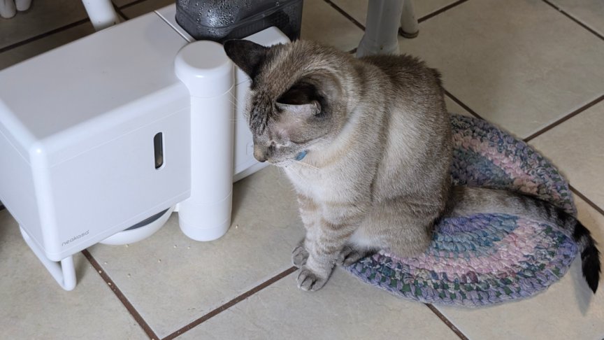 The Future of Wet Cat Food Dispensers Is Here. My Review of Neakasa Riko 2 neakasa-riko-smart-pet-feeder-on-tile-floor-with-cat-sitting-nearby